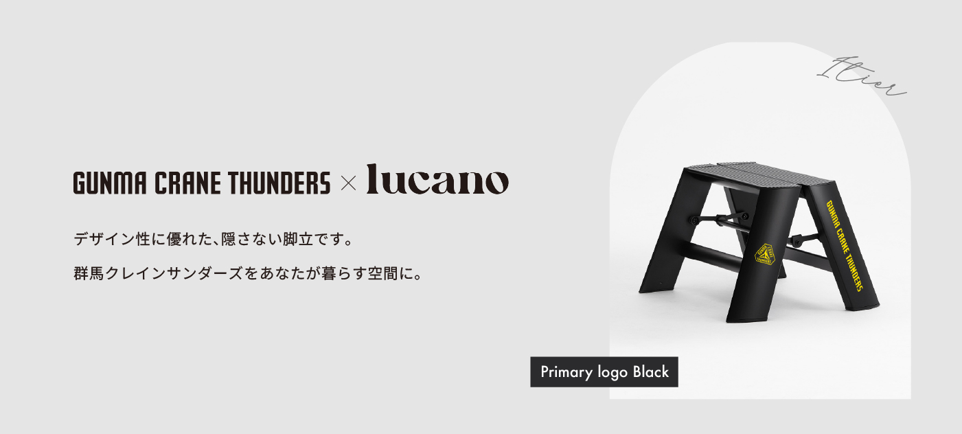 EC限定 lucano×GCT ルカーノ コラボ脚立 1-step
